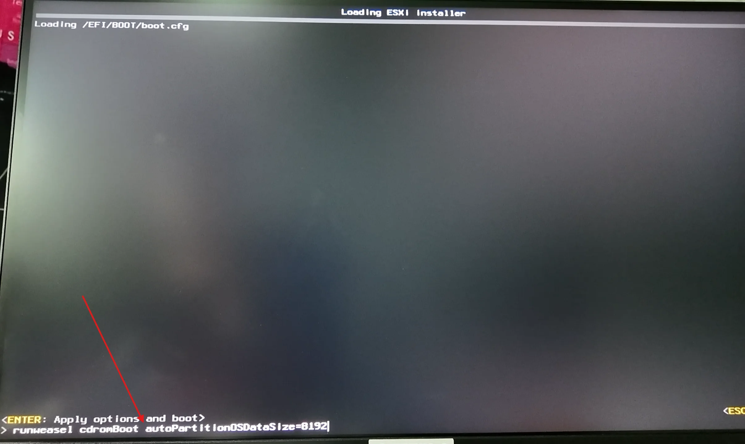 edit-boot-arg-2